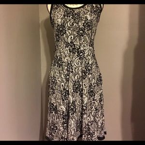 Loft Black Lace Dress